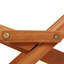 Poteet Folding Deck Chair