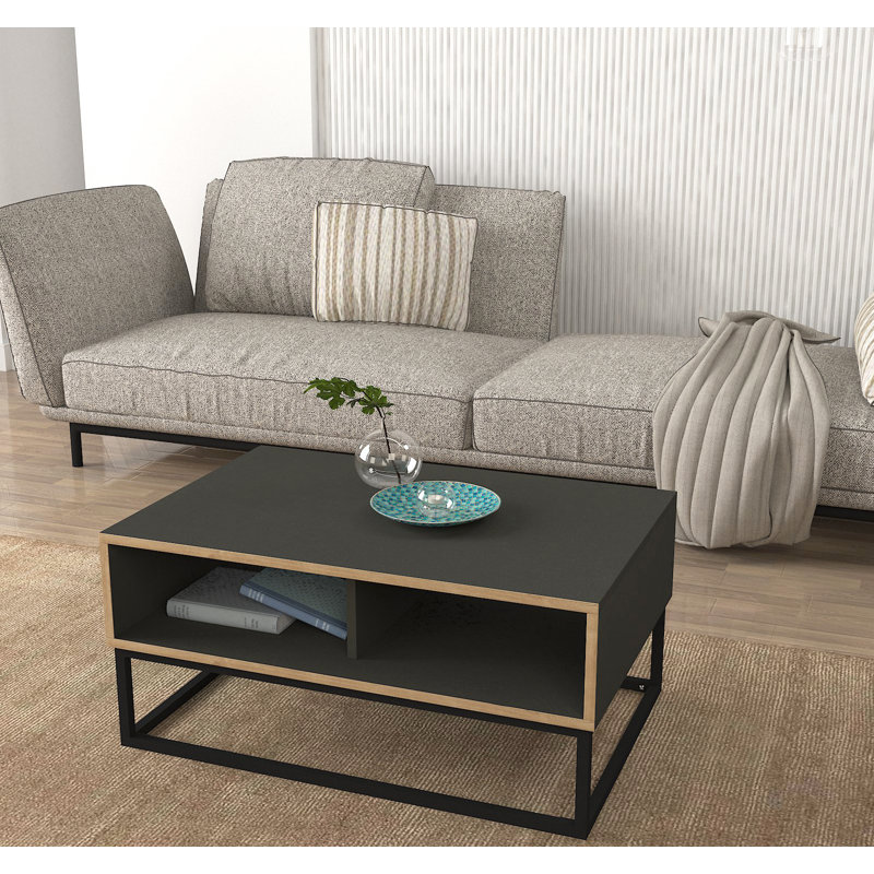 Iyauna Frame Coffee Table with Storage