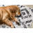 Meridian Geometric Black/Beige Area Rug-34128197