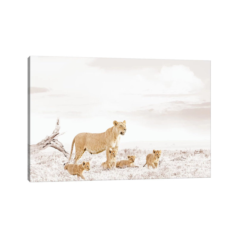 White Lioness & Cub by Klaus Tiedge - Wrapped Canvas Print, 20.32 cm H x 30.48 cm W