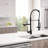 PENGFANG WORLDWIDE LLC Pull Down Kitchen Faucet