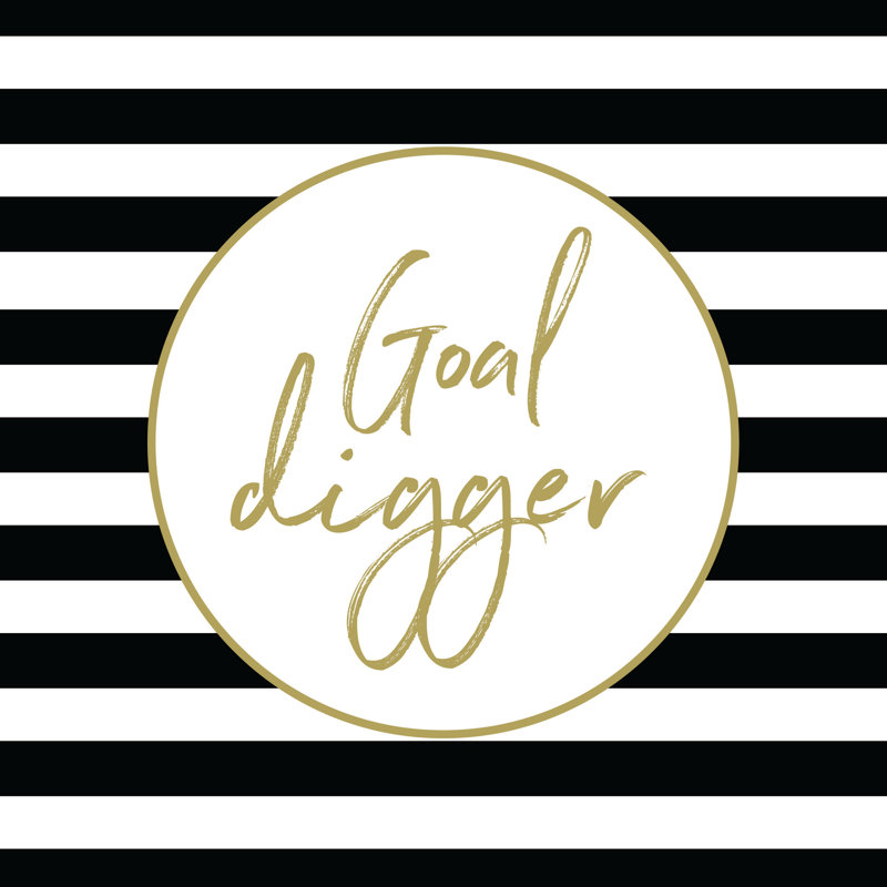 Goal Digger - Wrapped Canvas Print, 30cm H x 30cm W