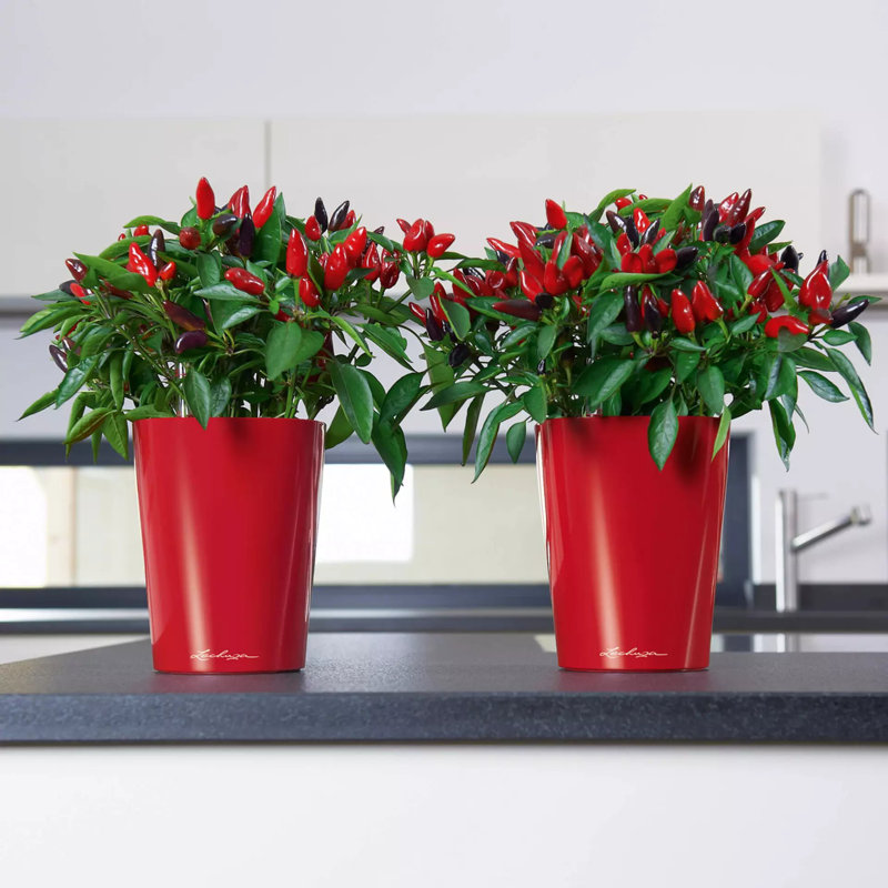 Deltini Pot Planter, Red