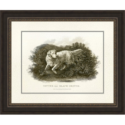 " Antique Setter & Black Grouse "
