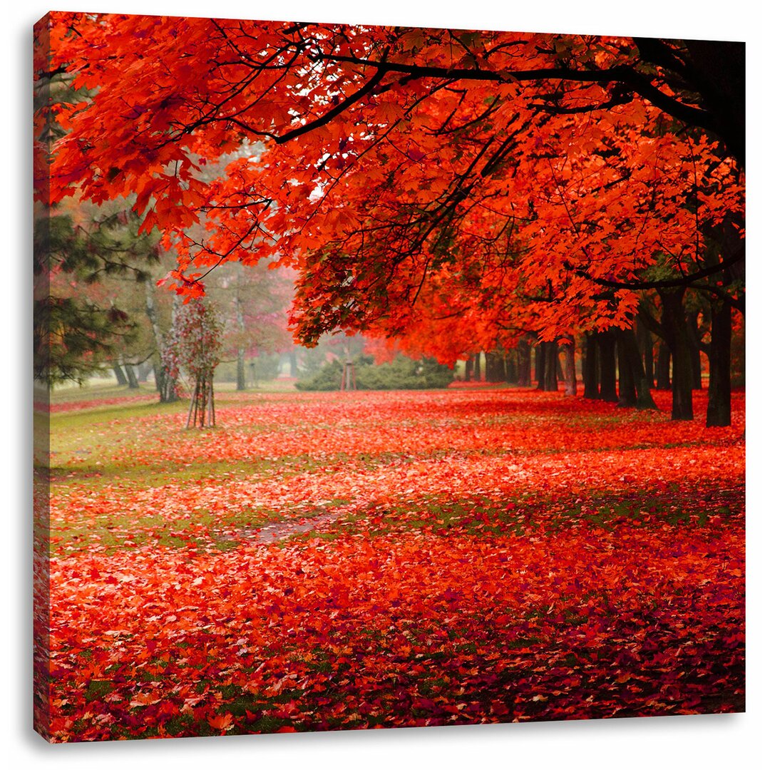 Leinwandbild Rot gefärbter Park im Herbst