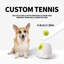 Mini-lance-balles pour chien Agility Équipement Interactives