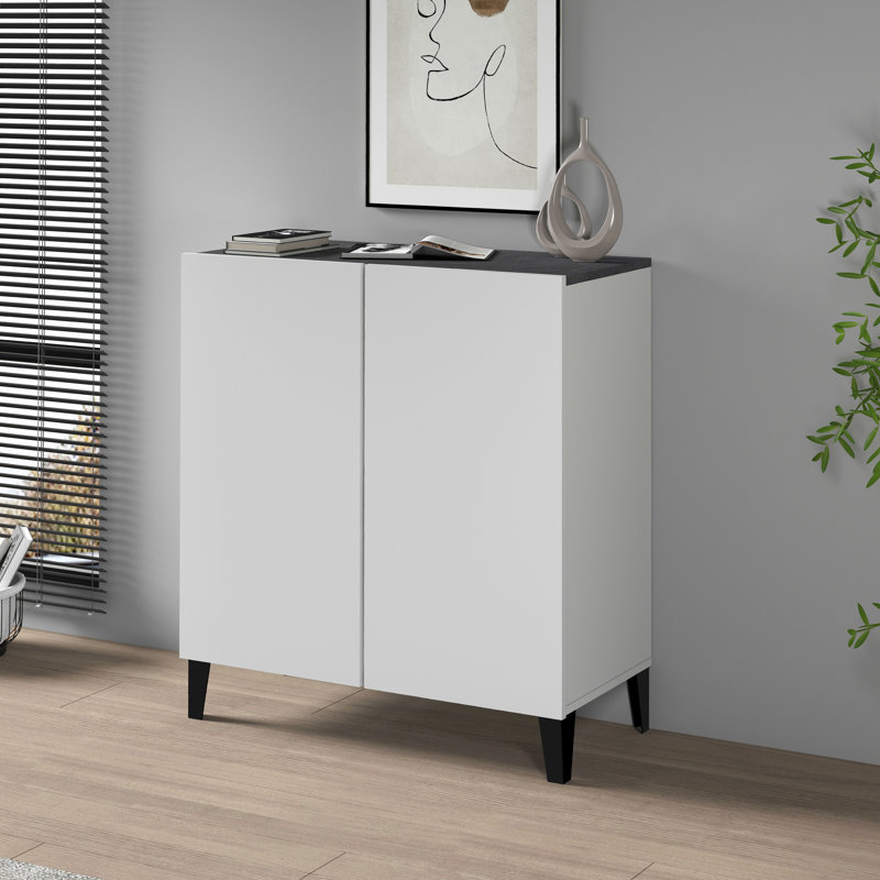 Ryung 2 -Door 1 -Shelf Storage Cabinet, White/Black