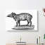 Tapir in Black & White by George Shaw - Wrapped Canvas-55358585