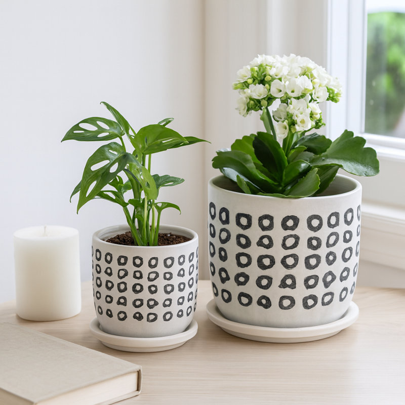Patterned Outdoor Planters with Saucer for Living Room & Home Decor - Classic Indoor Planter Flower Pots for Patio Use - Set of 2,  6", 5", Ivory & Black