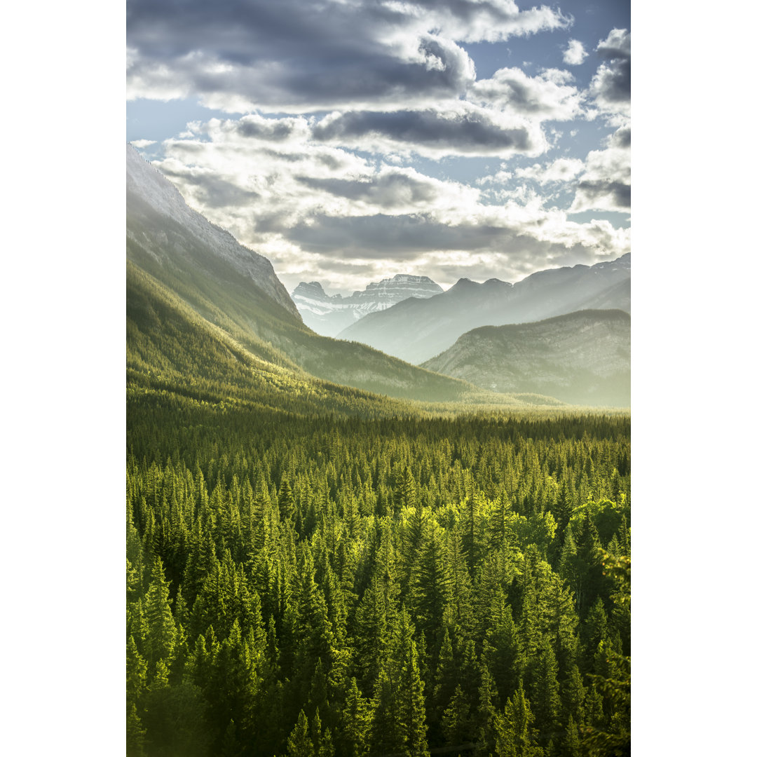 Rocky Mountain Forest View von Pgiam - Leinwanddrucke auf Wrapped Canvas