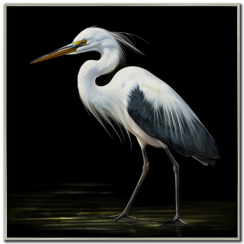 Midnight Heron II Canvas Wall Art