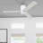 Espy 52" Ceiling Fan with LED Lights & Remote-21887266