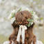 Bandeau de mariage