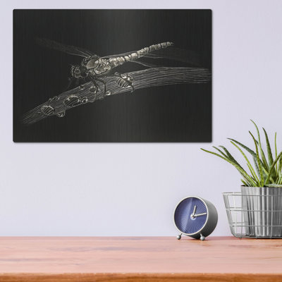 «Dragonfly» par Avery Multers sur métal