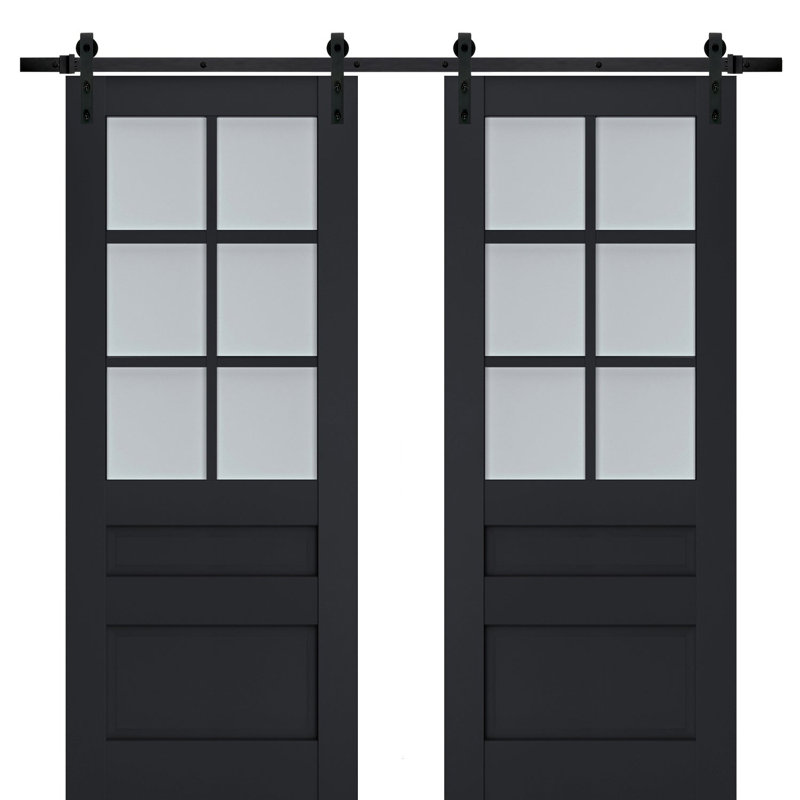 Portes de grange en bois givré Veregio, 79,5 po x 17 po, Antracite