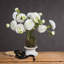 Arrangement-34458649