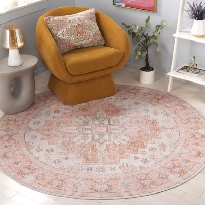 Maritess 243 Area Rug In Rust / Beige