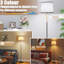 Floor Lamp-2034031591