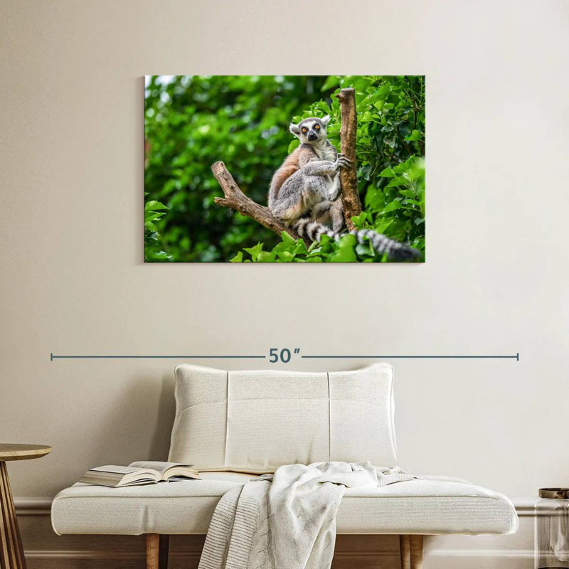 Brampt Stunned Lemur, 24" H x 36" W