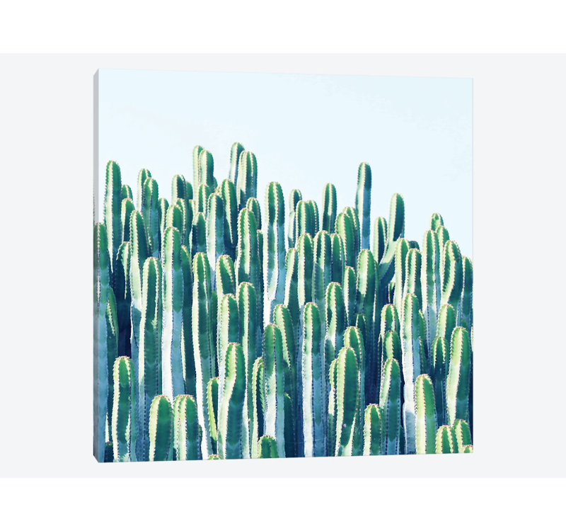 «Cactus Plants», impression sur toile, H 12 po x l 12 po x P 1,5 po, Toile tendue