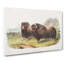 Muskox by J.W. Audubon - Wrapped Canvas-34658644-34658666