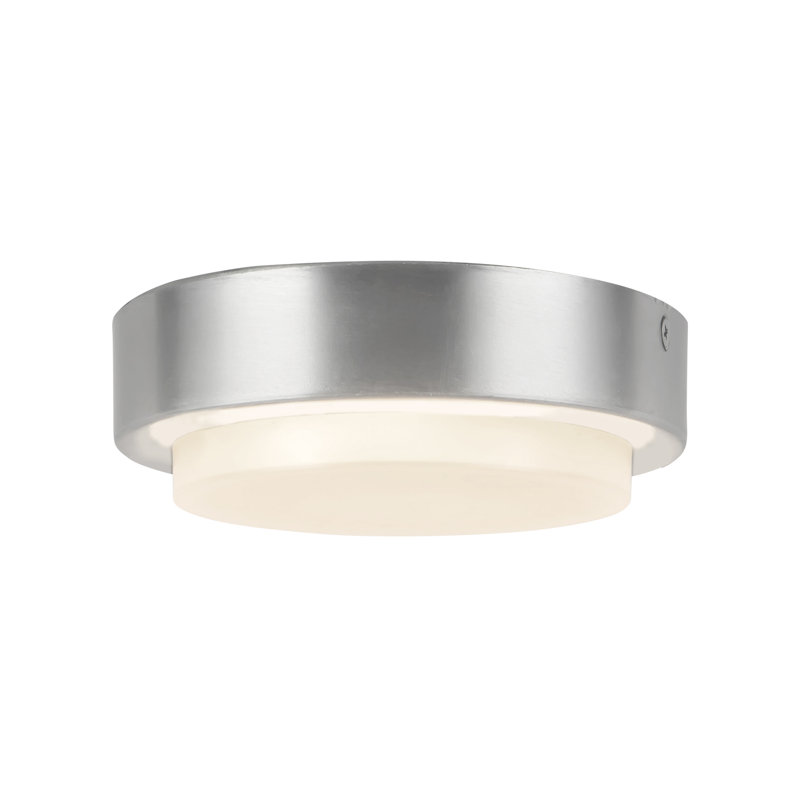 Bailey 5-in Black dimmable LED Outdoor Ceiling Light, Brushed Nickel, Brushed Nickel