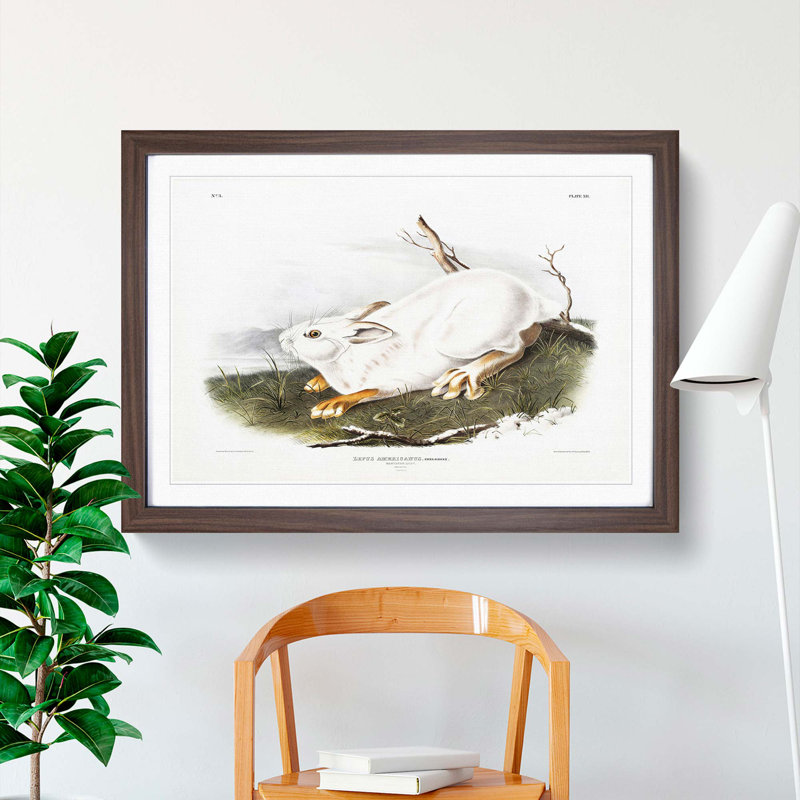 Northern Hare in Winter by J.W. Audubon - Picture Frame Painting Print, 62cm H x 87cm W x 2cm D, Walnut Framed