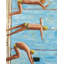 Swimmers - Figurative Orange