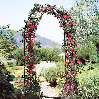 Metal Pergola Arbor,4.6 Feet Wide x7.9 Feet High Assemble Freely for Various Climbing Plant Wedding Garden Arch Bridal Party Decoration Wide Arbor
