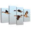 Canards pilet Brampt-108870341