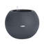 Pot Planter-332018650-332018649