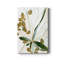 Impression sur toile tendue, Tropical Impromptu I-1488324845
