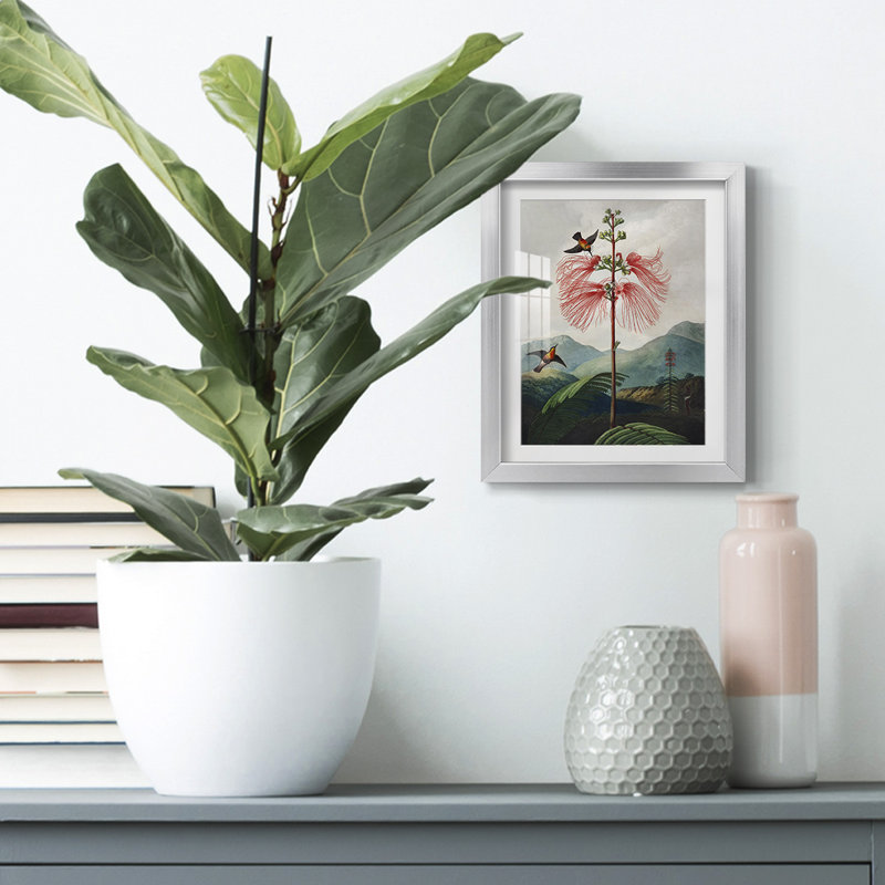 Vivaciously Changing II -Gallery Wrapped Canvas