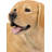 Labrador Retriever Lying Down Statue
