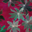 Floral Matte Wallpaper Double Roll-67395523