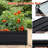 Galvanized Raised Garden Bed 841 Ft, Suitable For A Wide Range Of Vegetables, Fruits, And Herbs - Simple Assembly, Weather Proof Large Outdoor For Growing Flowers, Robust Long Lasting-1394915081