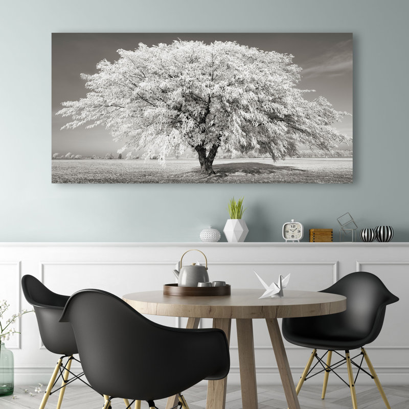 Lime Tree With Frost, Bavaria, Germany by Frank Krahmer - Wrapped Canvas Print, 50cm H x 100cm W x 4cm D