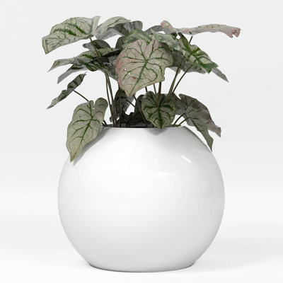 Greenline Fiberglass Nala Large Indoor/Outdoor Globe Planter - Gloss White