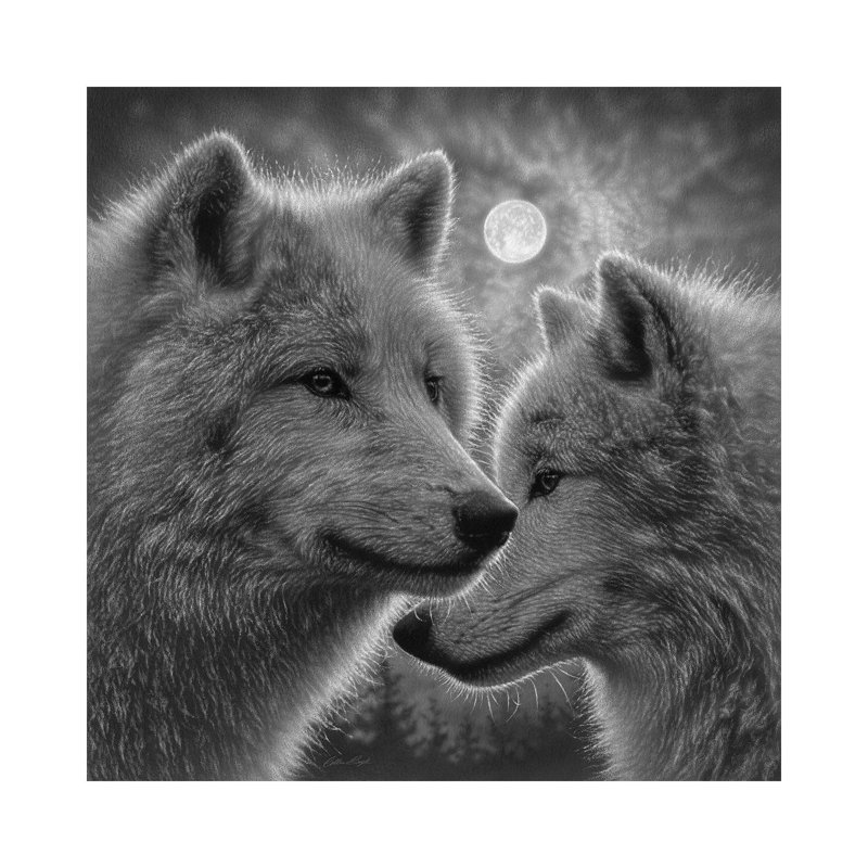 Moonlight Wolf Mates - Black & White by Collin Bogle - Wrapped Canvas Painting, 93.98 cm H x 93.98 cm W