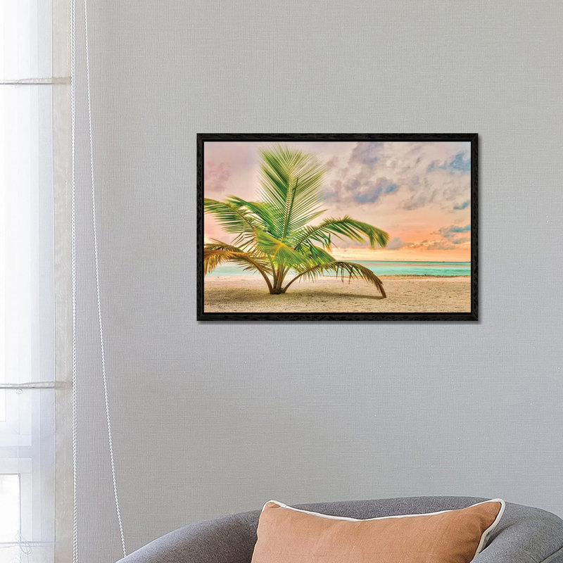 Sunset Palm by Mark Paulda - Print on Canvas, Black Floater Framed, 45.72cm H x 66.04cm W x 3.81cm D