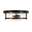 Lampkins 2 - Light Crackled Glass Shaded Flush Mount 