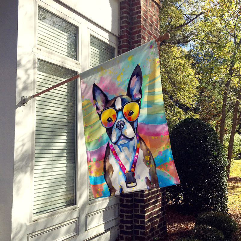 Drapeau de la maison Hippie Dawg, Boston-terrier
