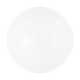 Vibi Single Light Glass Steel Dimmable Flush Mounted Sconce