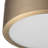 Realyn LED Flush Mount
