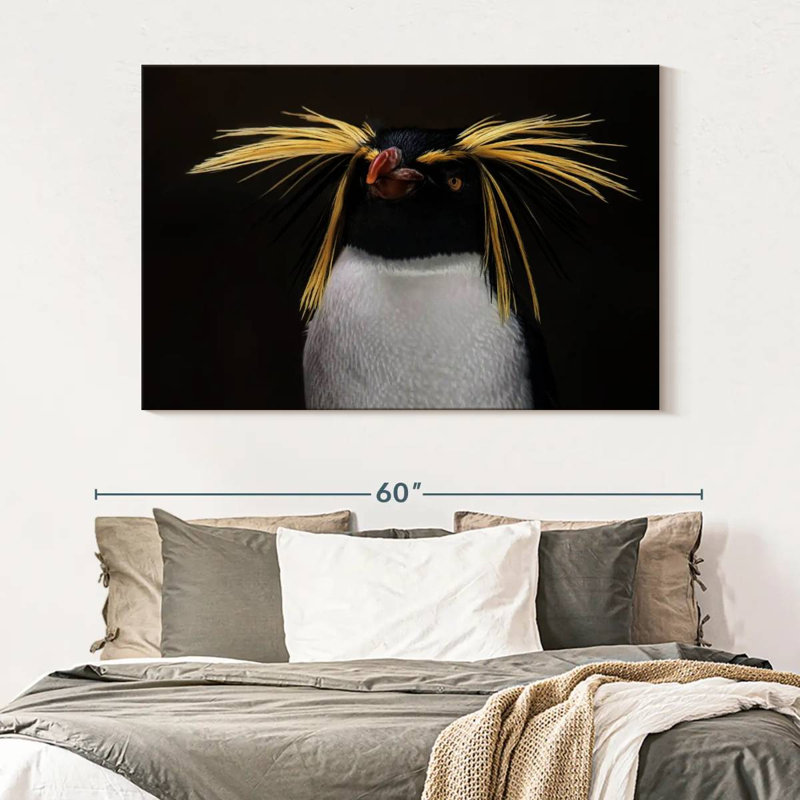 Pingouin, H 34 po x l 51 po