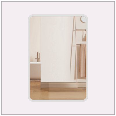 Teyang 24.00'' W 32.00'' H Framed Medicine Cabinet Mirror 2 Fixed
