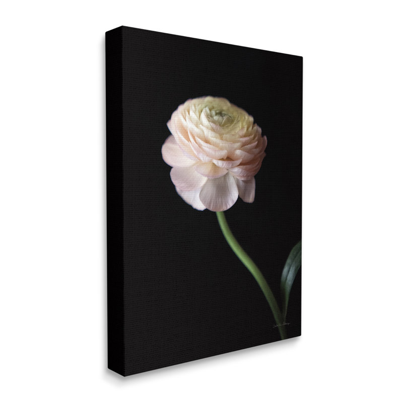«Stupell Industries», art mural sur toile noire par Debra Van Swearingen, H 40 po x l 30 po x P 1,5 po, Toile tendue