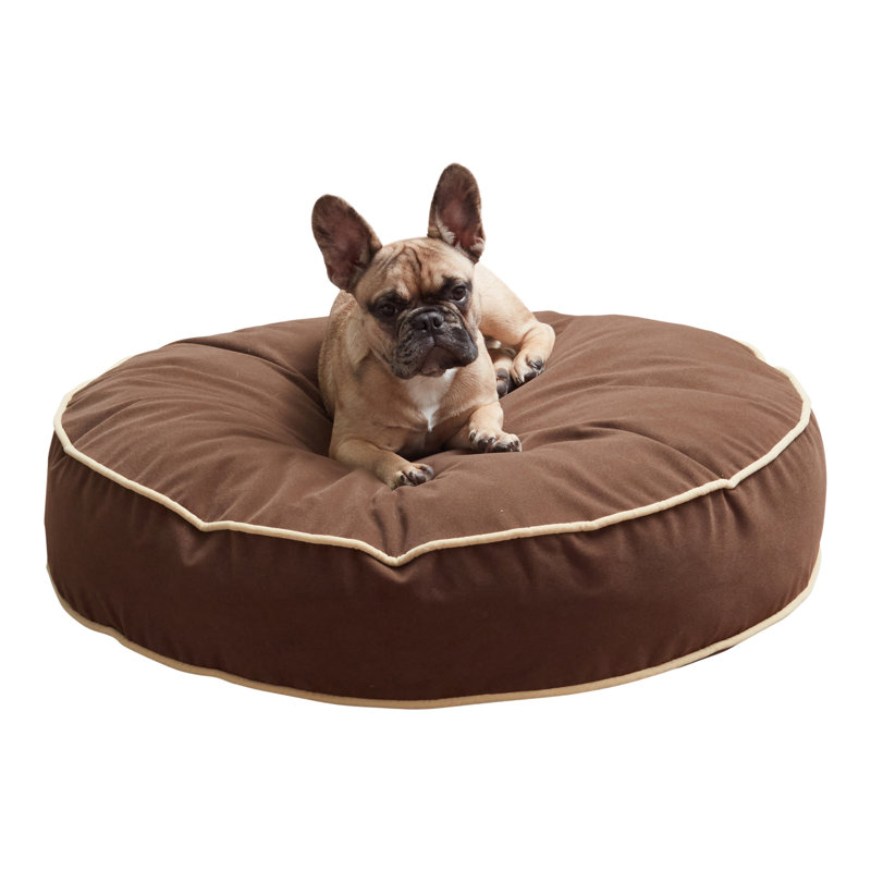 Lit pour chien Buckhead, Cacao, Moyen (l 30 po x P 30 po x H 5 po)