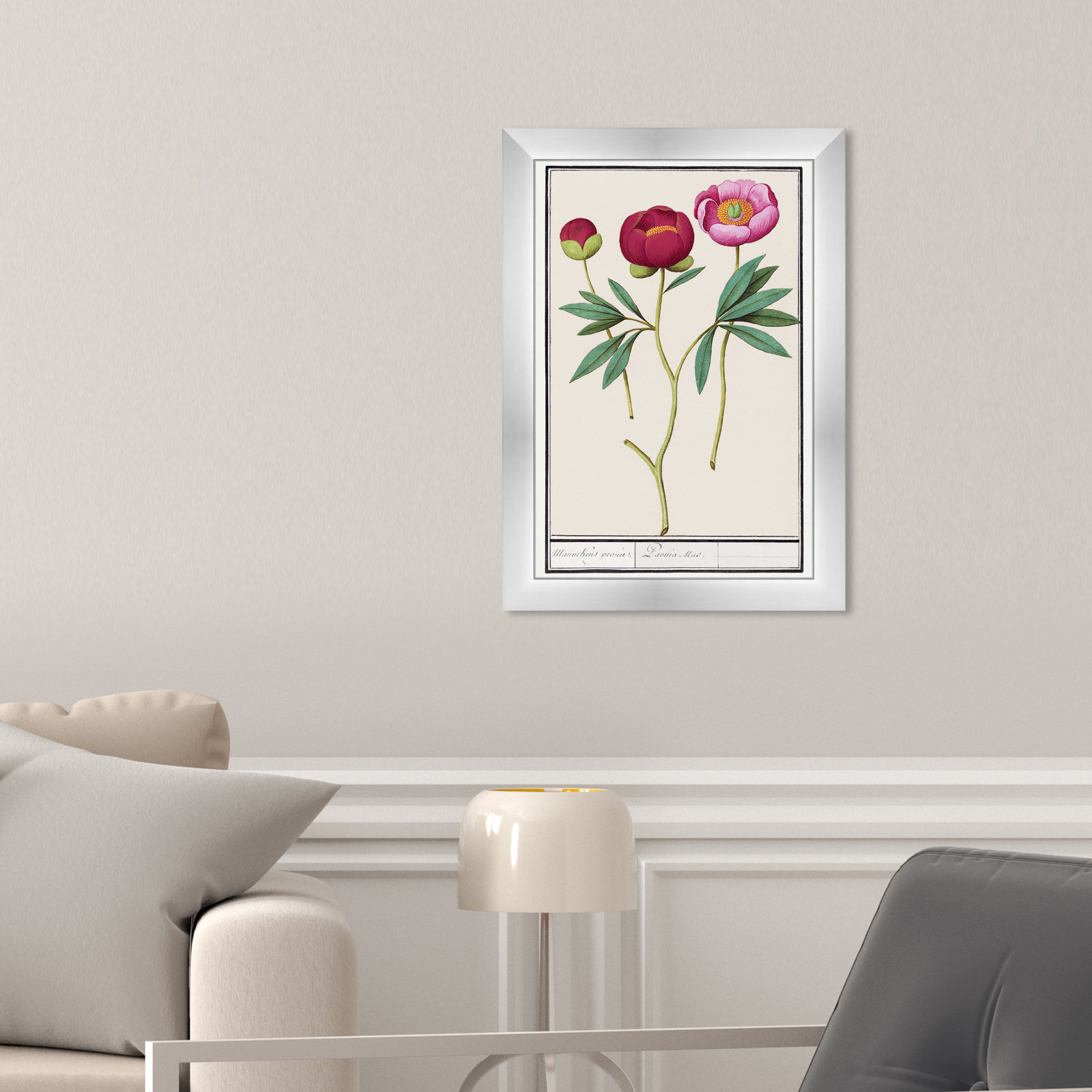 Red and Pink Peony Botanical Study Print, 17" H x 12" W, Silver