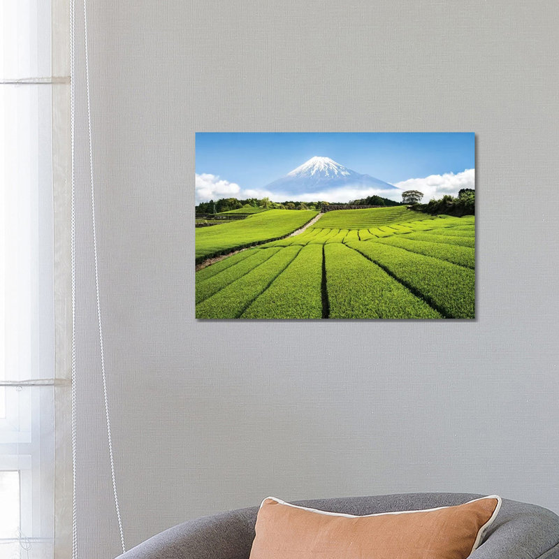 Green Tea Plantation And Mount Fuji by Jan Becke - Wrapped Canvas Gallery-Wrapped Canvas Giclée, 66.04 cm H x 45.72 cm W